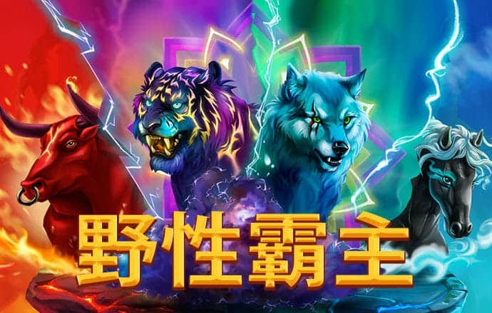 网易DD参与代打《魔兽世界》事件的来龙去脉